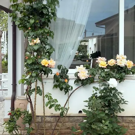 Solea Versilia マリーナ・ディ・ピエトラサンタ