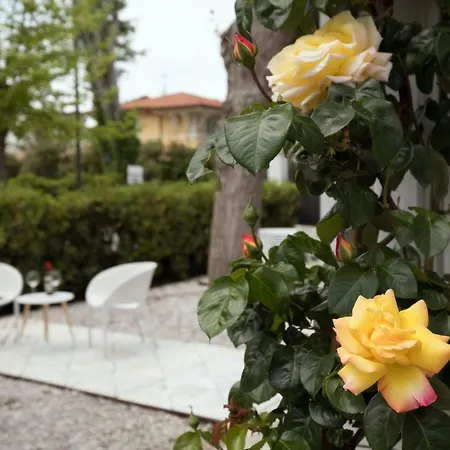 Solea Versilia